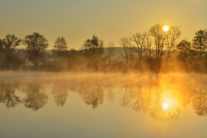 River Main at sunrise with morning mist, Himmelstadt, Franconia, Bavaria, Germany River Main at sunrise with morning mist, Himmelstadt, Franconia, Bavaria, Germany